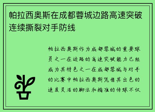 帕拉西奥斯在成都蓉城边路高速突破连续撕裂对手防线